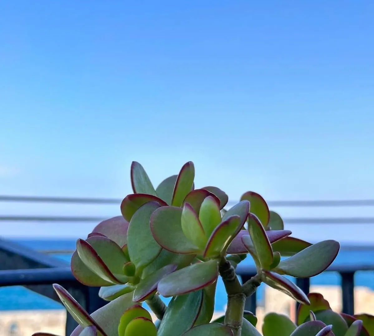 Marina House 79 Villa Cefalu Italy